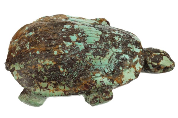 Schildkröte 51x80x21mm aus Türkis