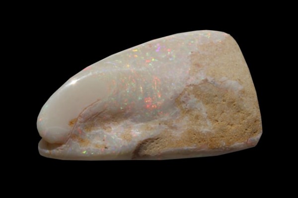 Langustenschere 21x37x10mm, fossiler Opal