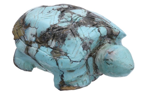 Schildkröte 39x58x25mm aus Türkis