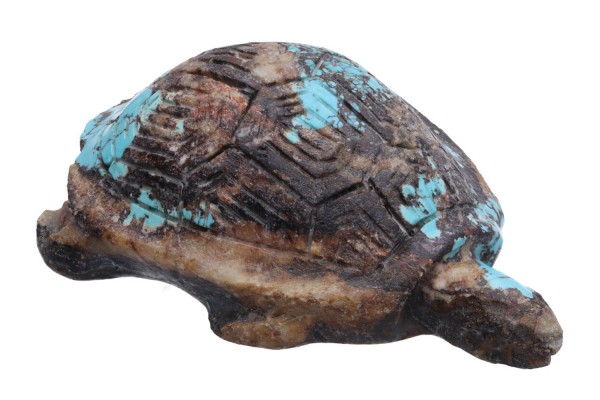 Schildkröte 52x70x24mm aus Türkis
