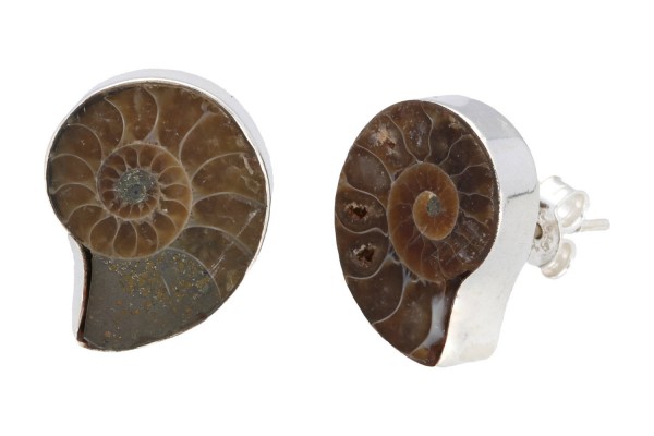 Ohrstecker 15-18mm in Silber 925, , Ammonit