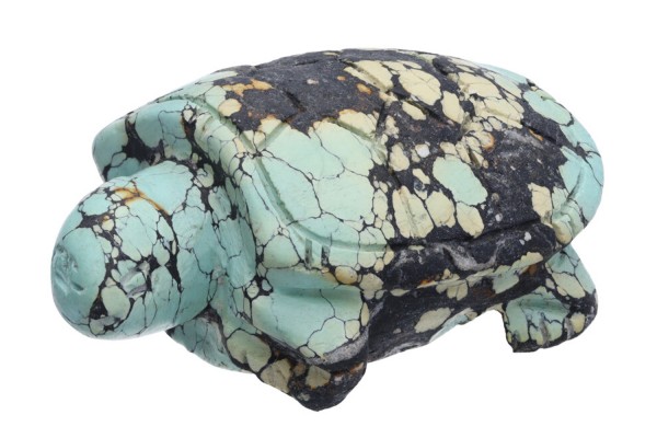 Schildkröte 36x54x24mm aus Türkis