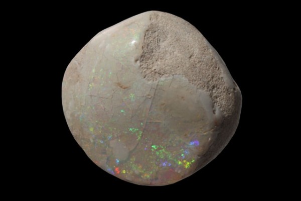 Muschel 37x35x19mm, fossiler Opal