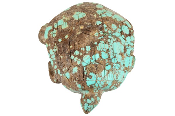 Schildkröte 76x98x30mm aus Türkis