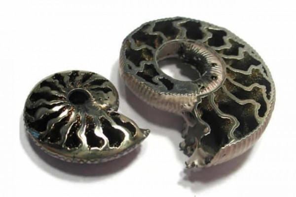 pyritisierte Ammonite 47x60mm, Michailov, Russland