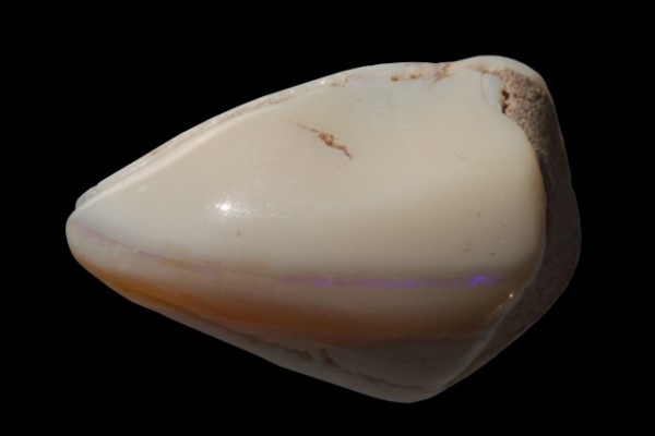 Langustenschere 21x34x16mm, fossiler Opal